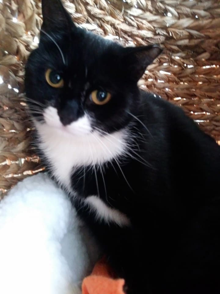 Photo of Selene