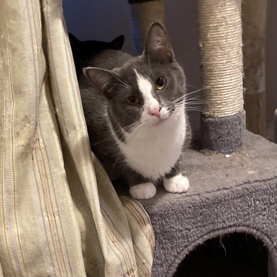 Photo of Miss Clio