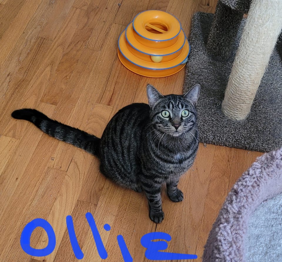 Photo of C224 brothers Ollie