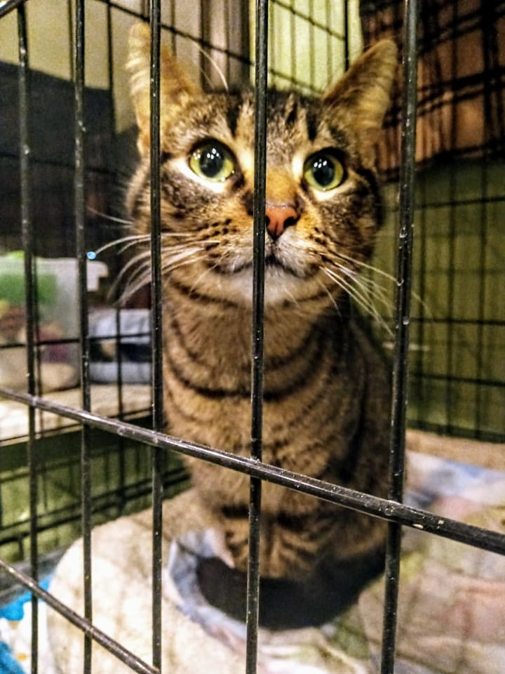 Photo of Eve