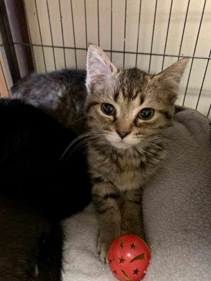 Photo of Stormy