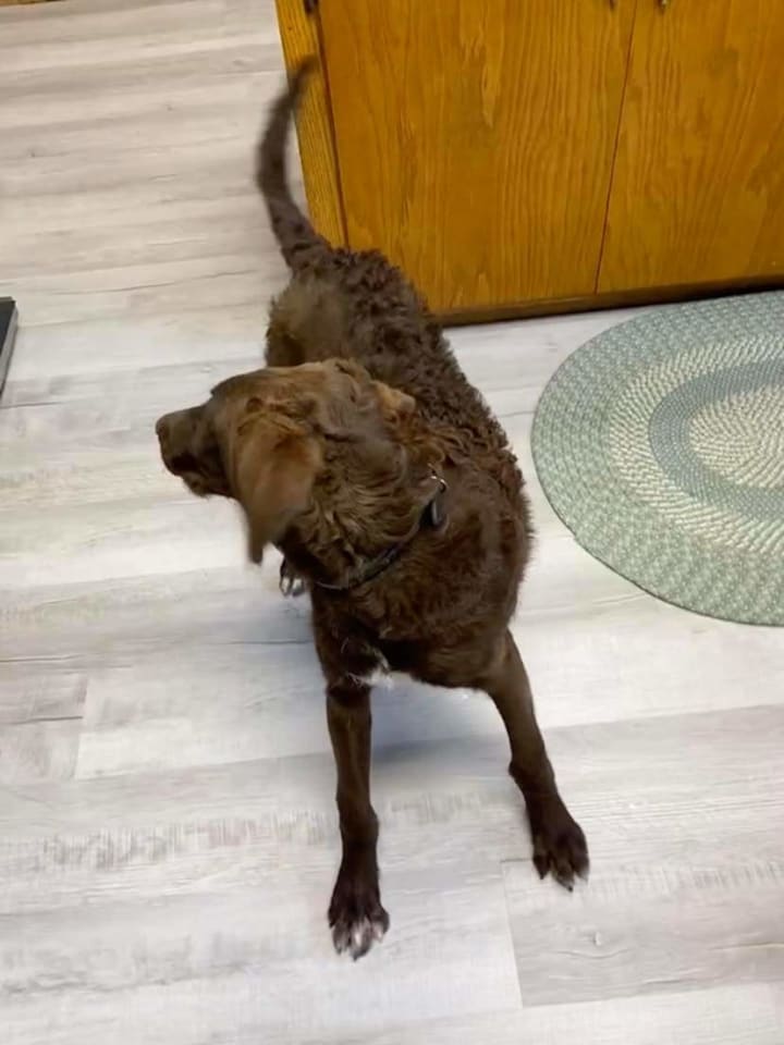 Photo of Murphy