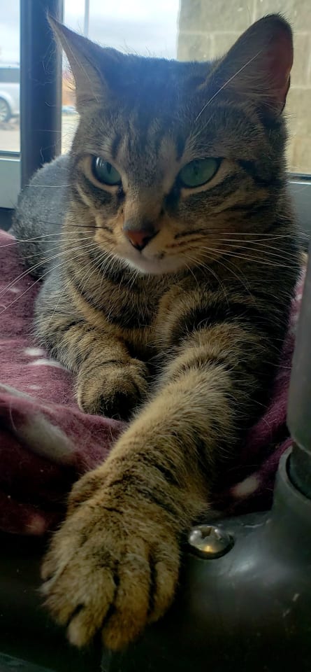 Photo of Kiki