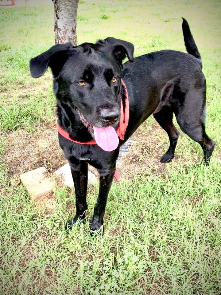 Photo of Maxwell May 22