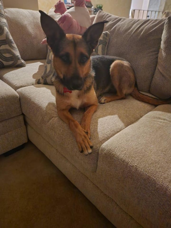 Photo of Evie