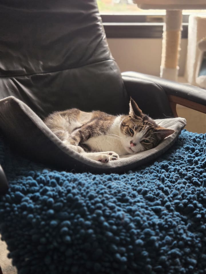 Photo of Deuce