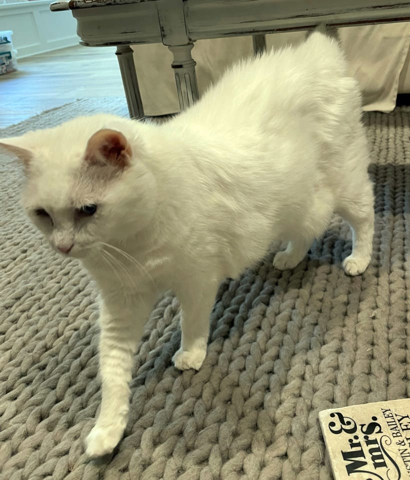 Photo of Lilly