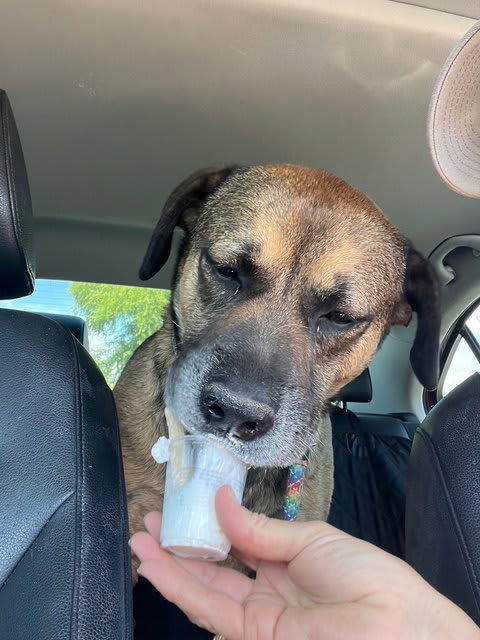 Photo of Rosco