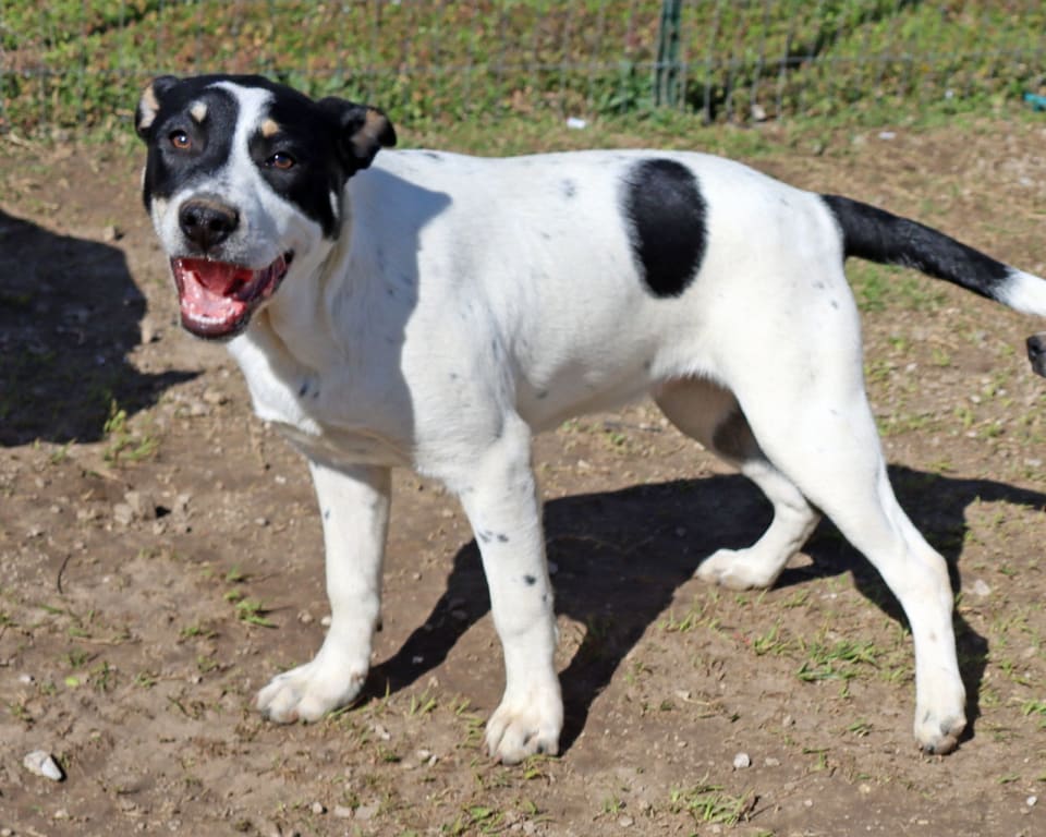 Photo of Titch