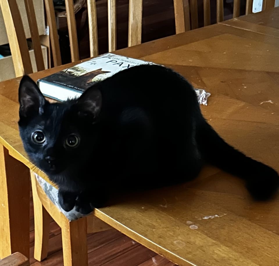 Photo of Cedric