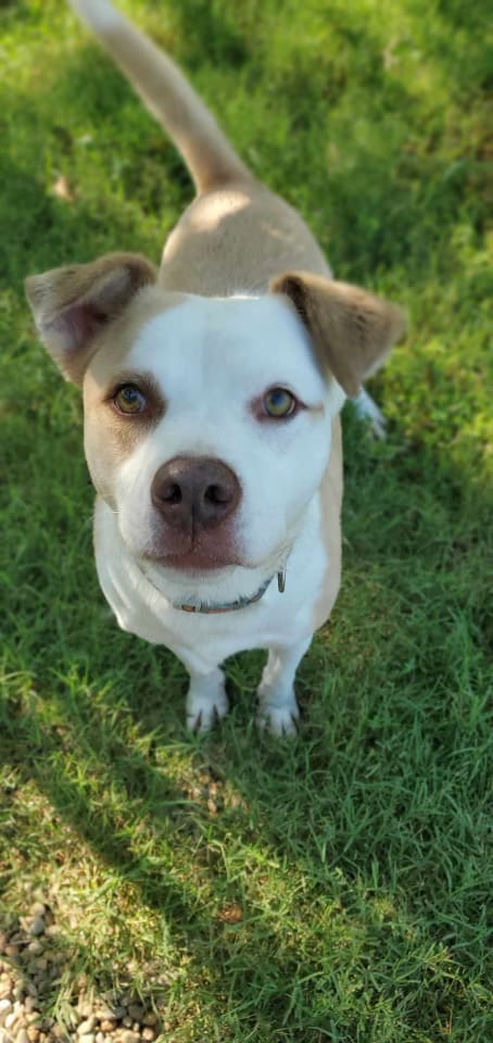 Photo of Poncho