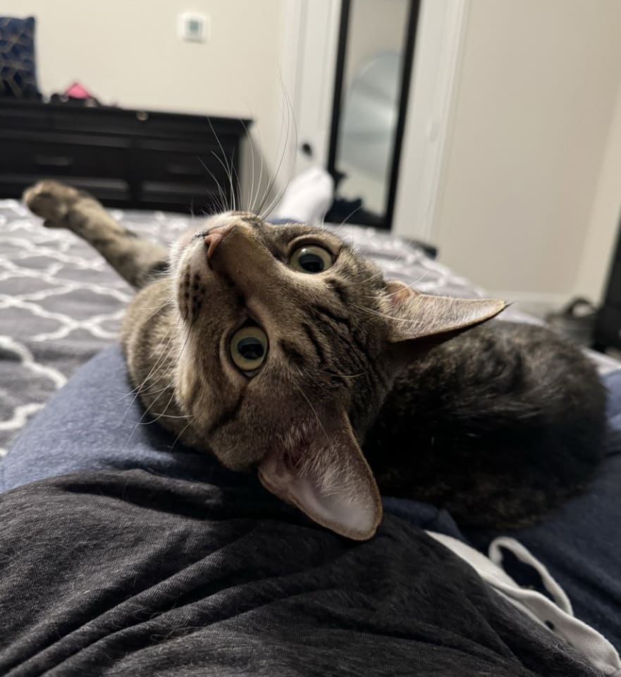 Photo of Simba Lloyd