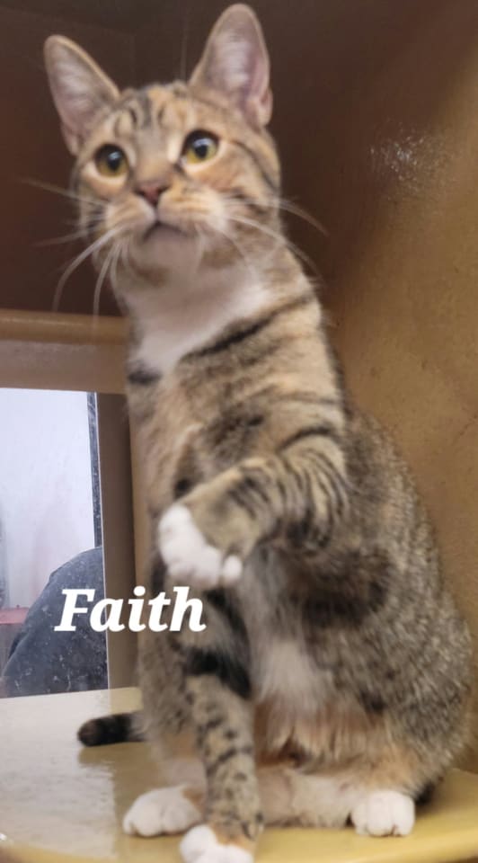 Photo of Faith