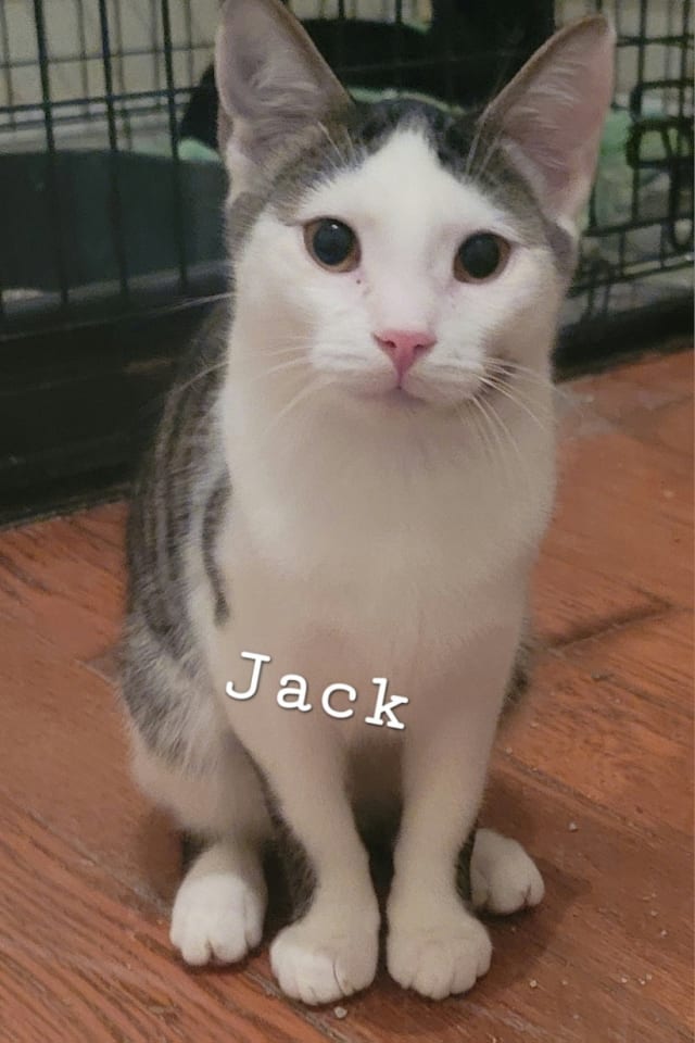 Photo of Jack