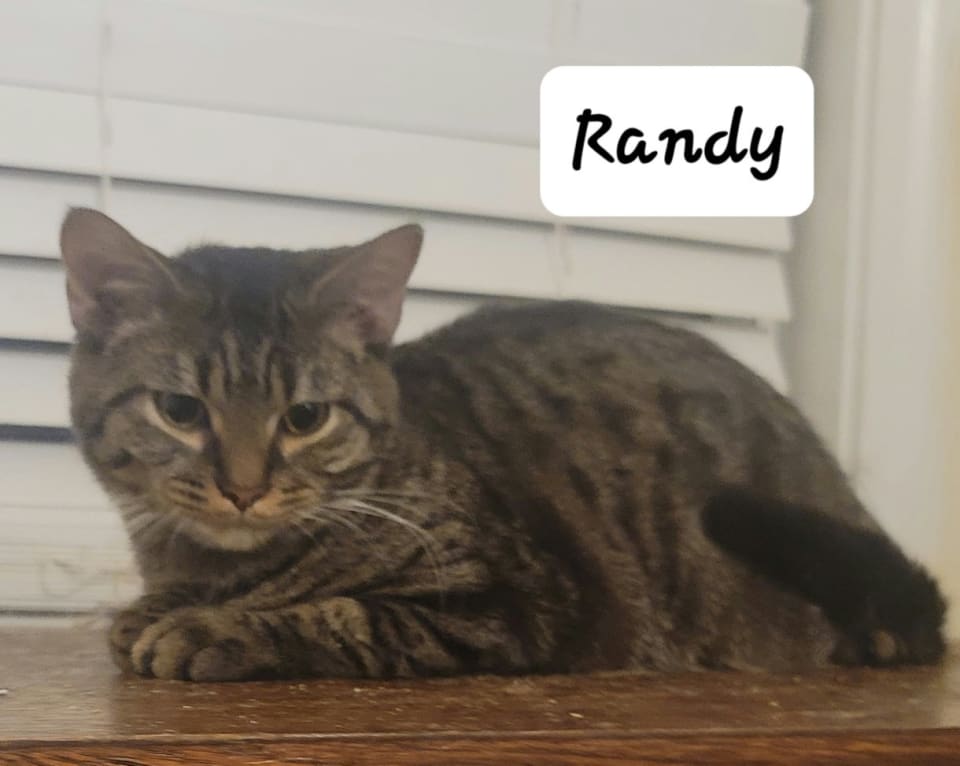 Photo of Randy