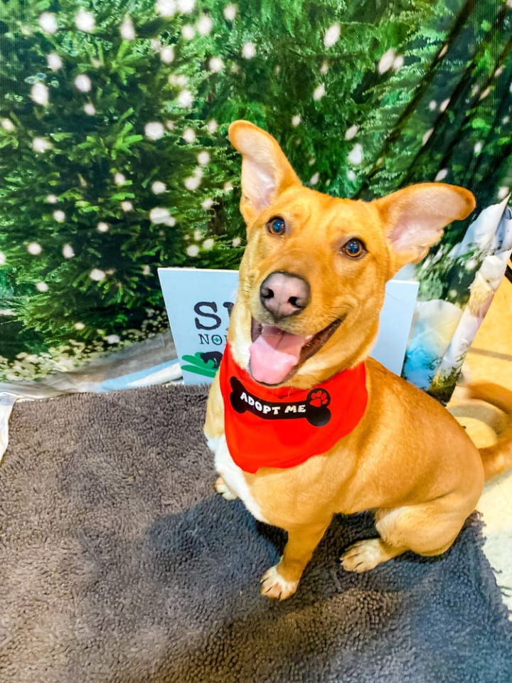 Photo of Charming Chance