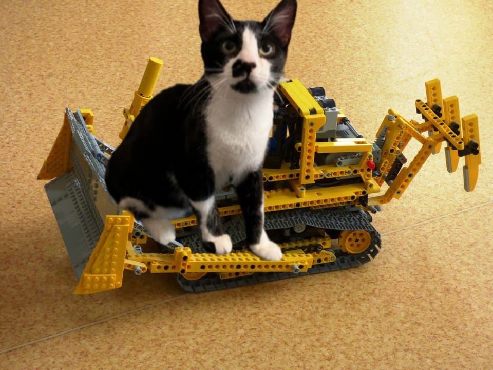 Photo of Achilles #retired-dumpster-diver