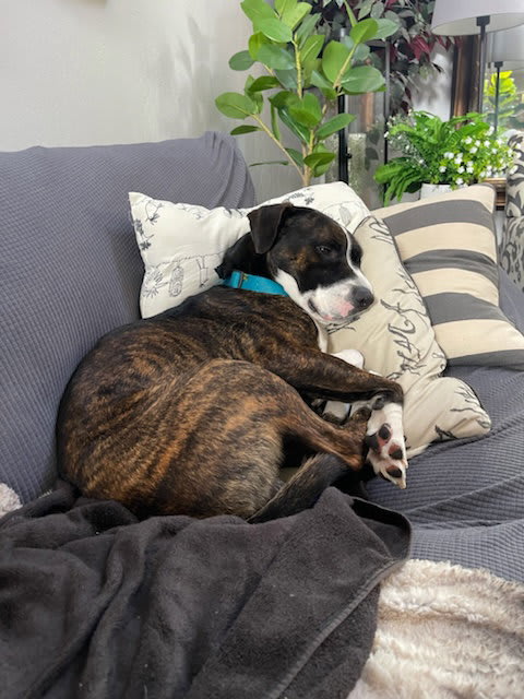 Photo of ZEUS