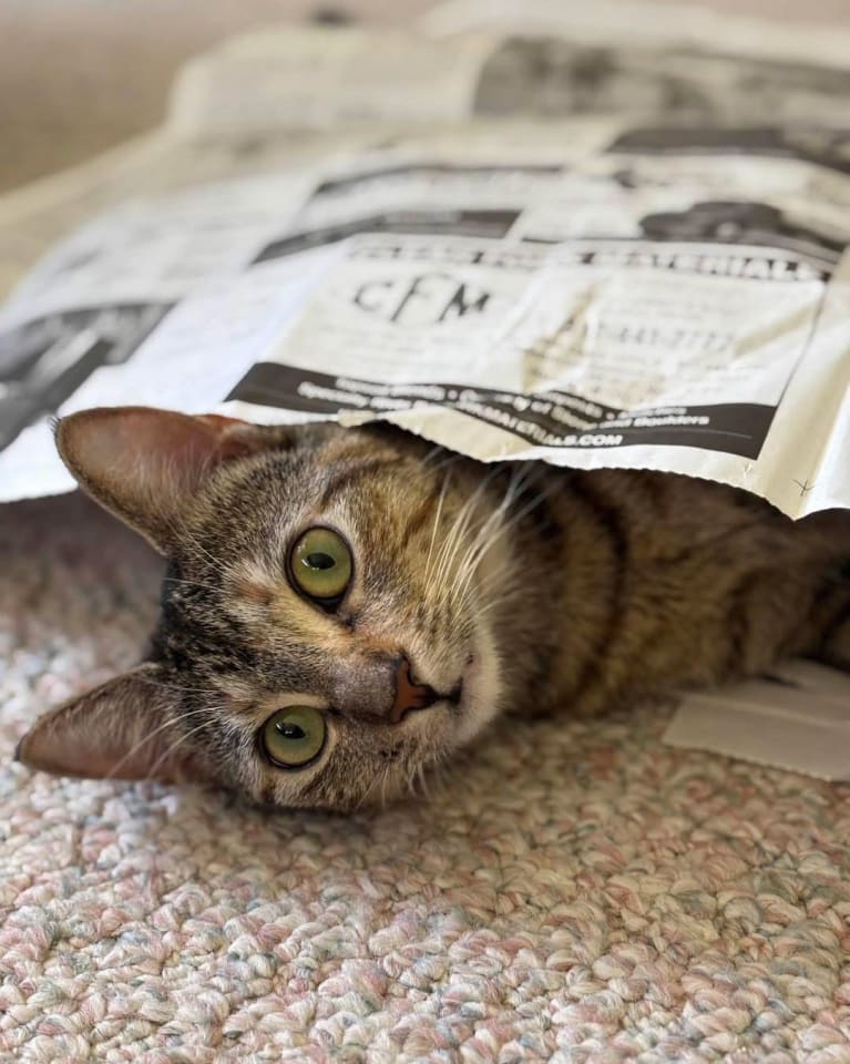 Photo of Cleo
