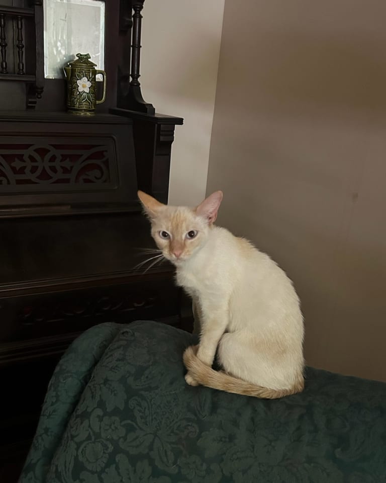 Photo of Jocelyn