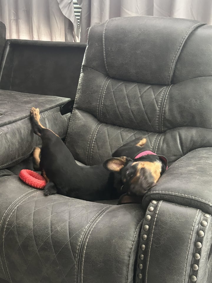 Photo of Missy