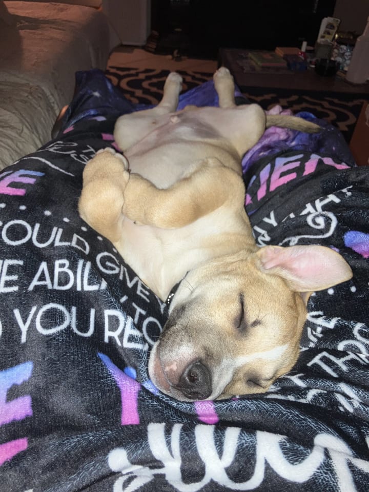 Photo of Tank