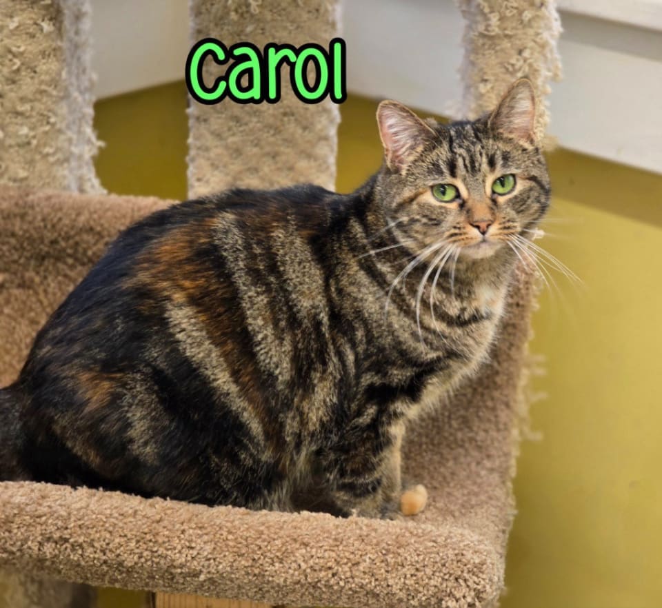 Photo of Carol