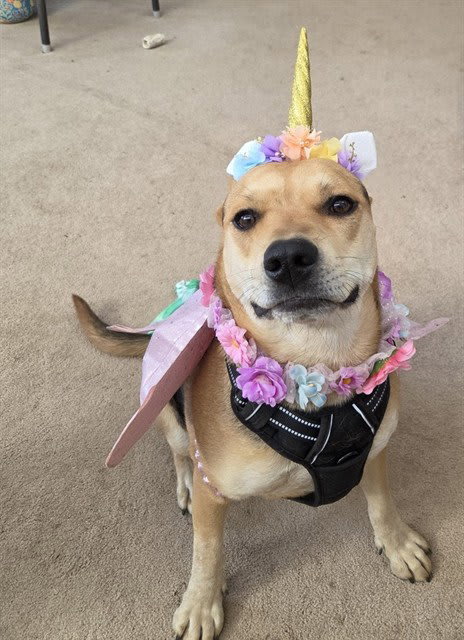 Photo of OLIVIA