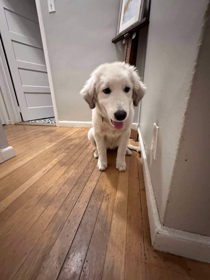 Photo of Sophie