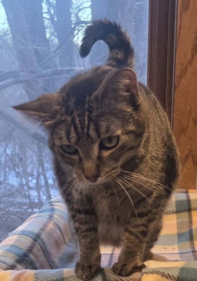 Photo of Sweetie