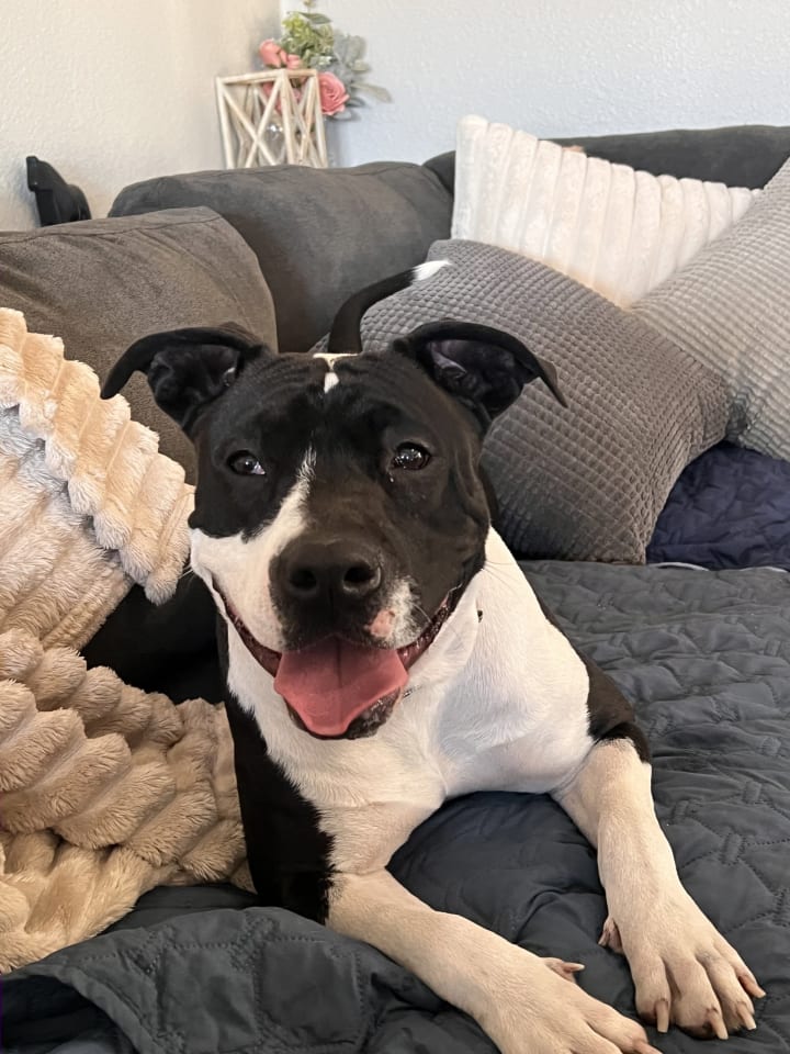 Photo of Bessie