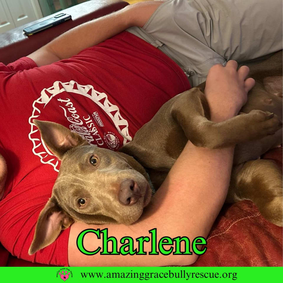 Photo of Charlene (Char)