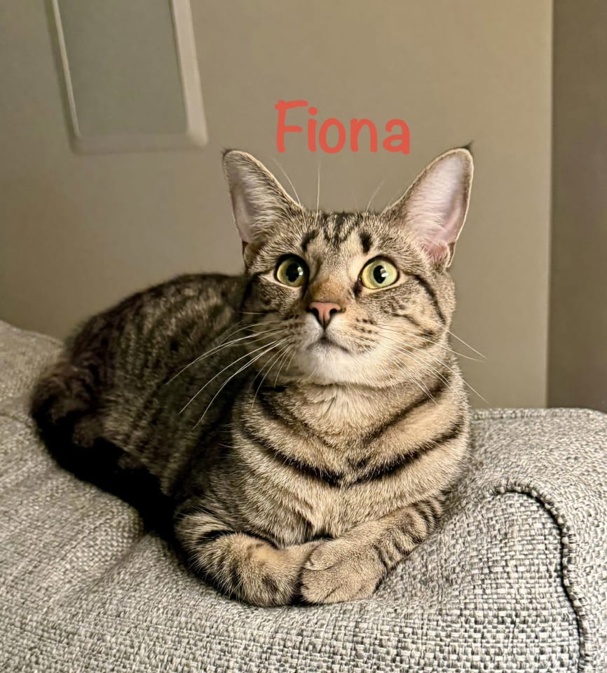 Photo of Fiona