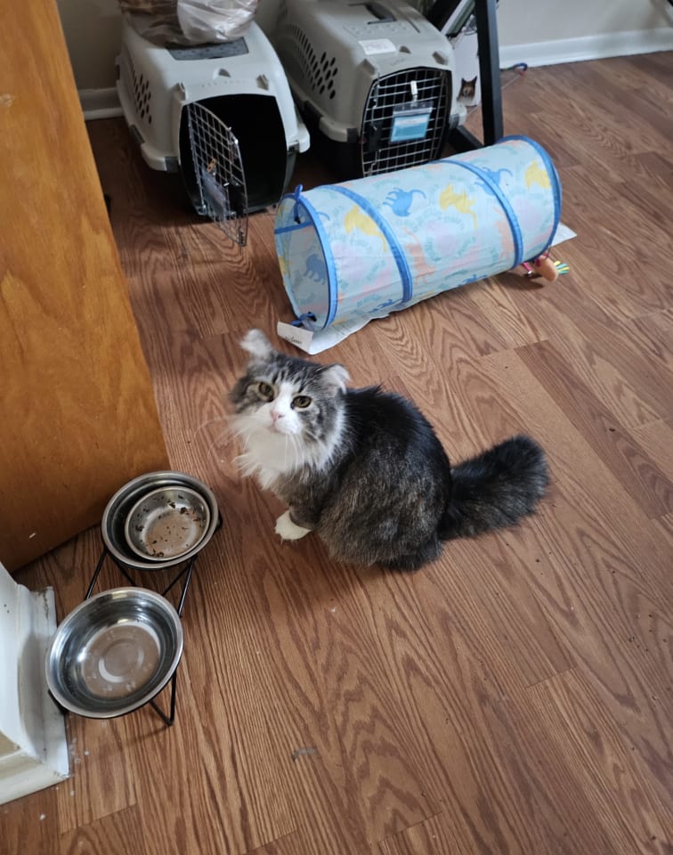 Photo of Cleo