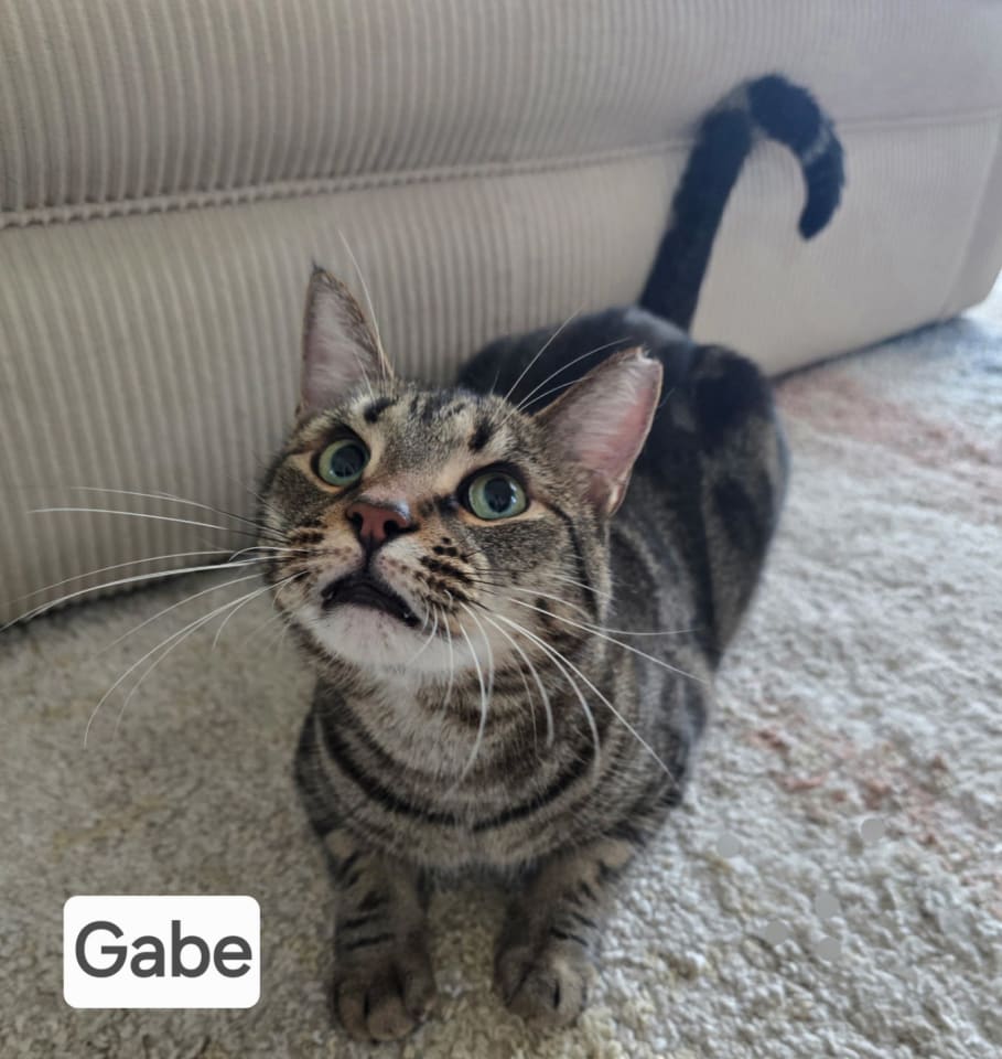 Photo of Gabe