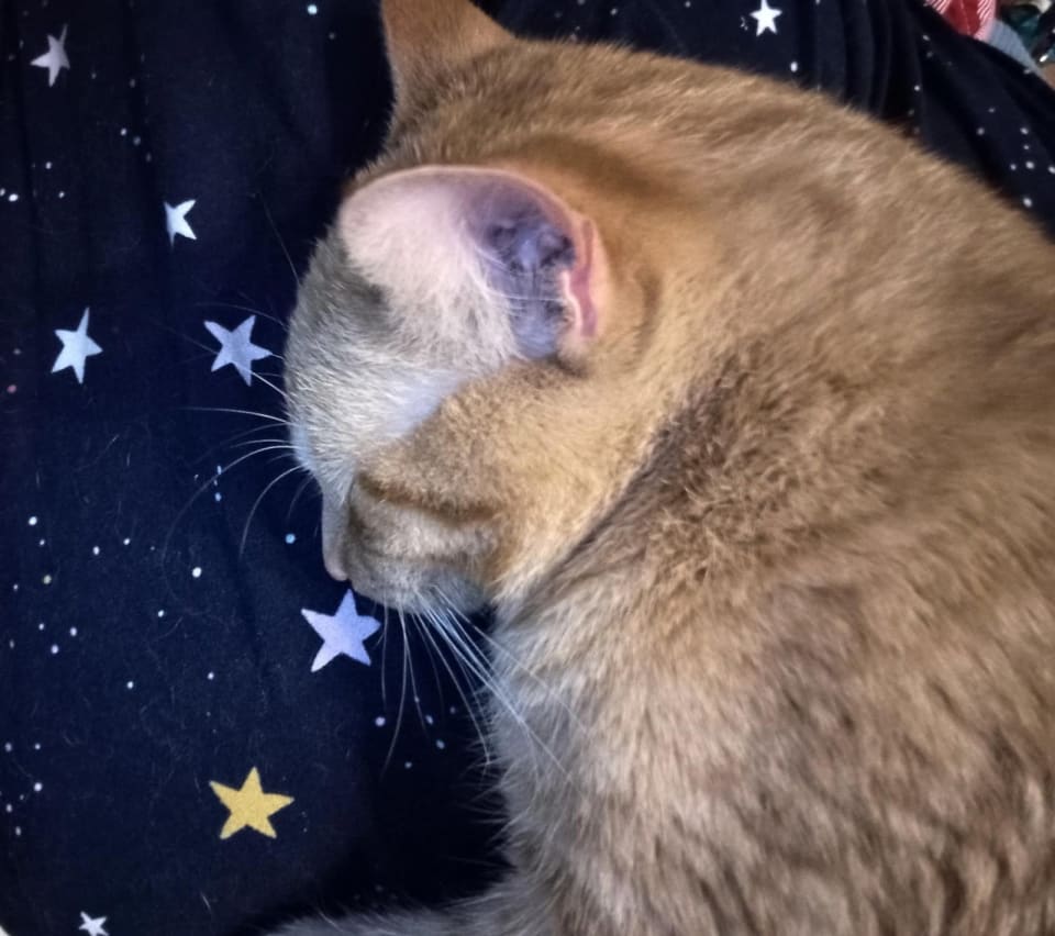 Photo of Hercules