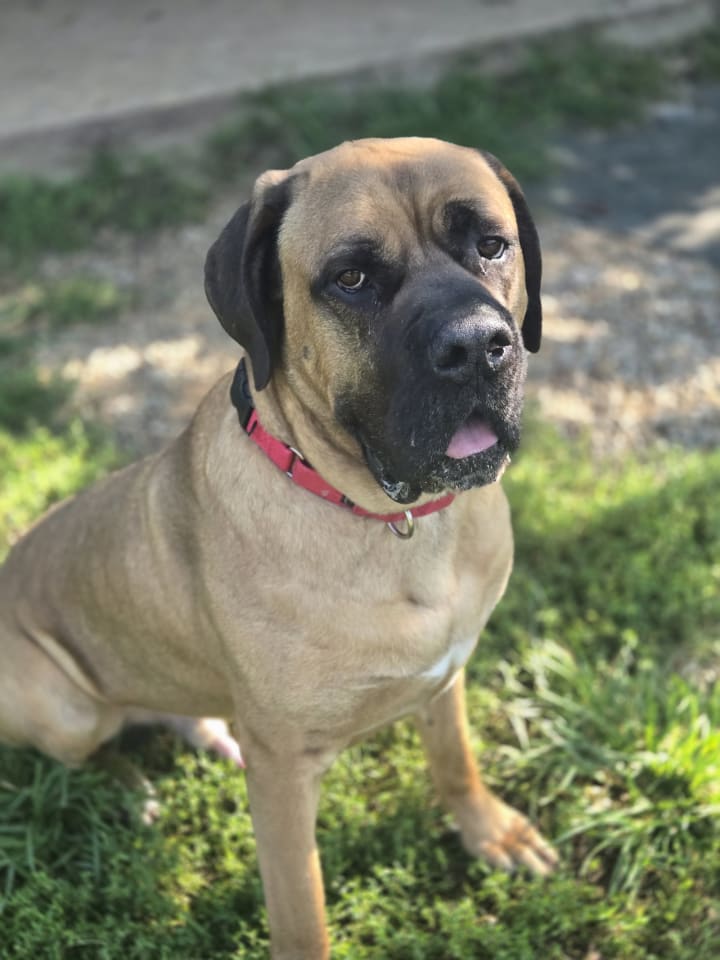 Photo of Duke