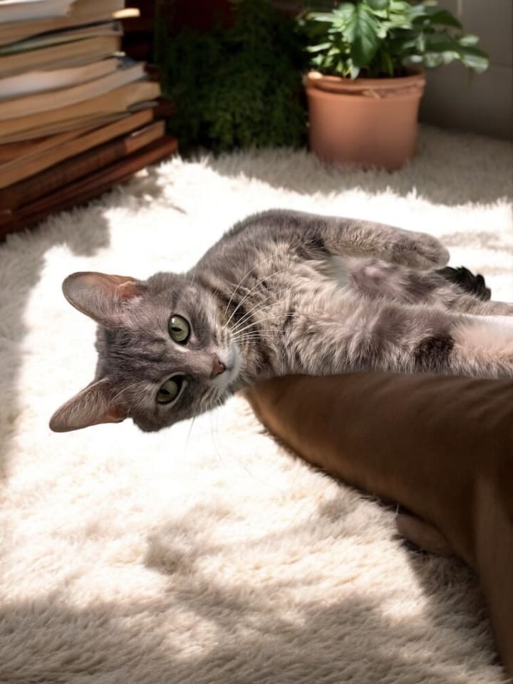 Photo of Misty