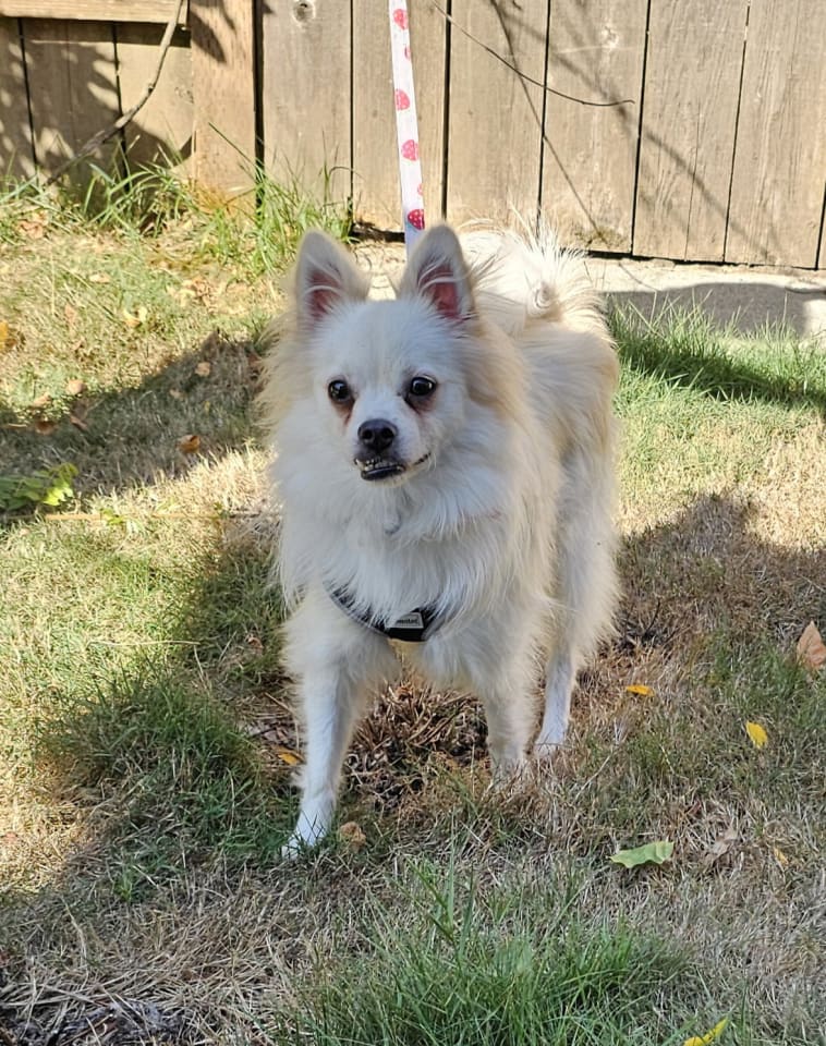 Photo of Enzo from Korea