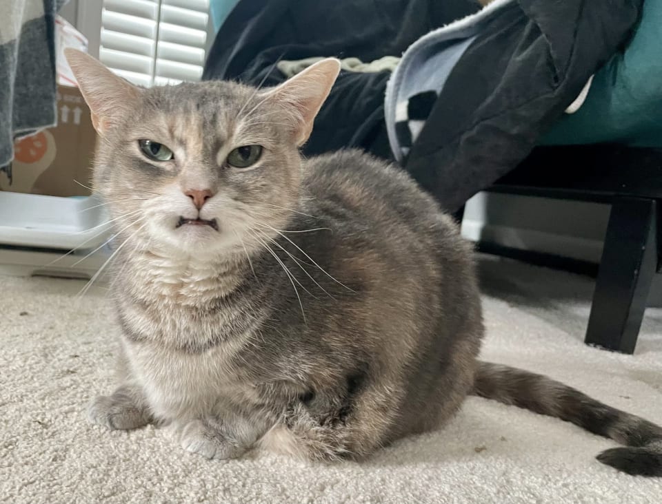 Photo of Cleopatra