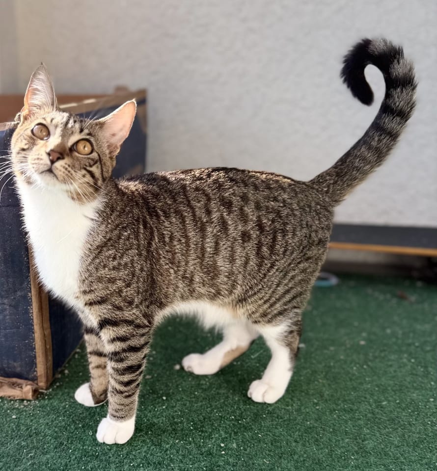 Photo of Wally