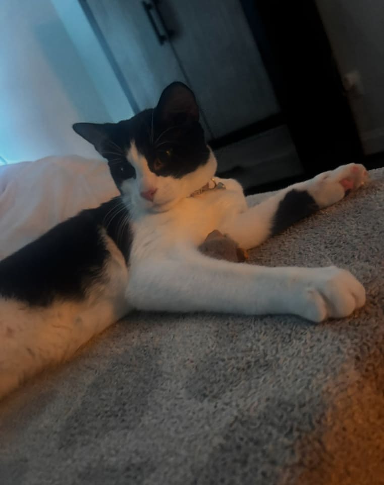 Photo of Coco (fka James)