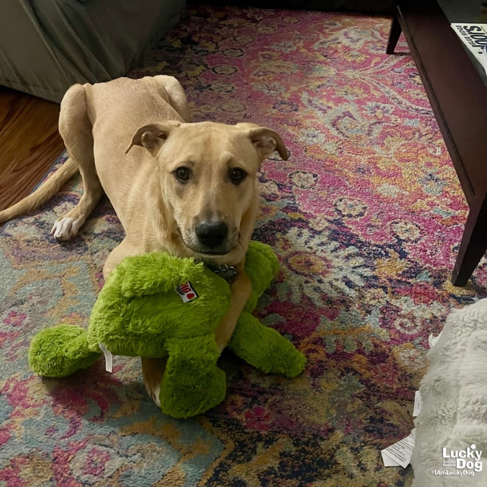 Photo of Luca