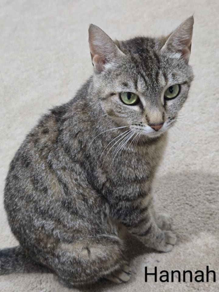Photo of Hannah