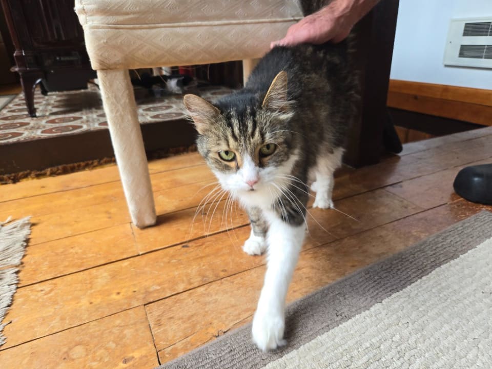 Photo of Holly