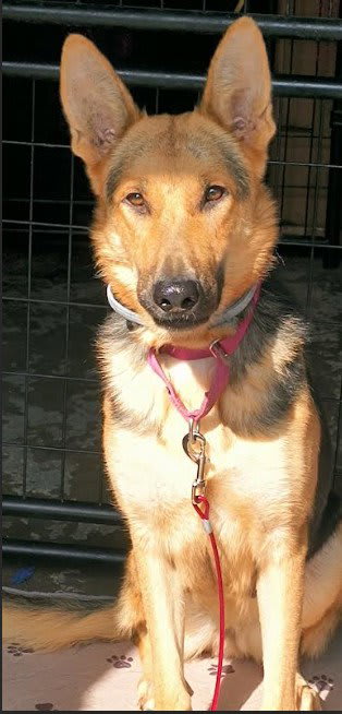 Photo of Elsie