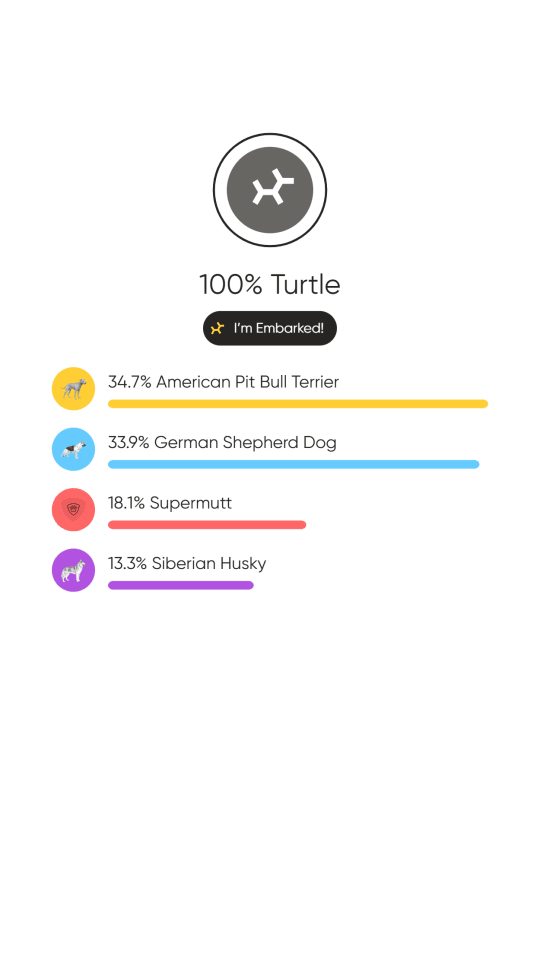 Photo of Turtle