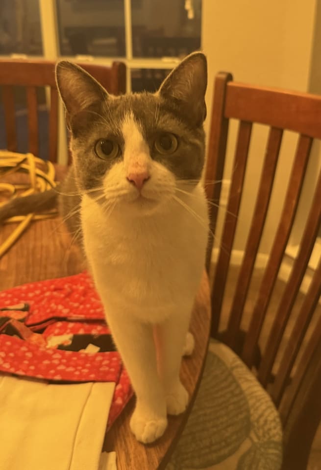 Photo of Champion