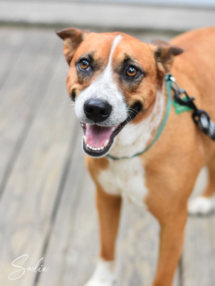 Photo of Addie