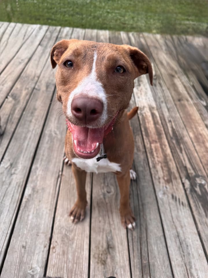 Photo of Kiwi